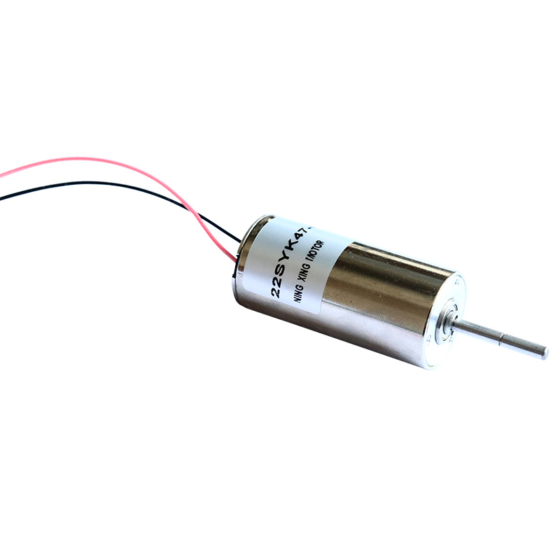 22mm Carbon Peniculus DC Motor