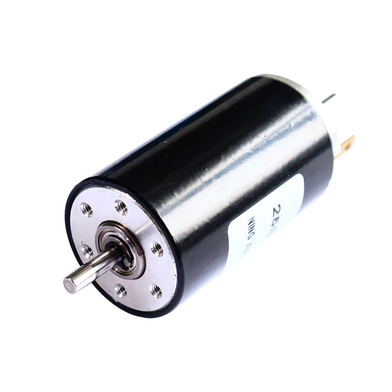 25mm Carbon Peniculus DC Motor