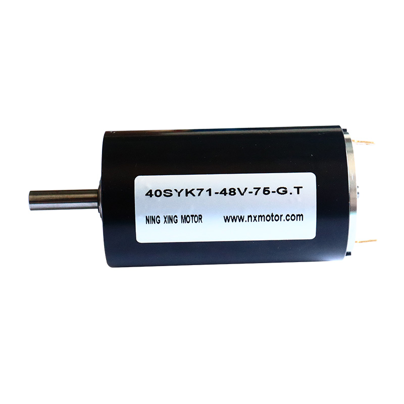 40mm Carbon Peniculus DC Motor