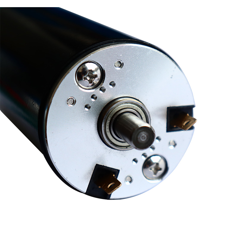 50mm Carbon Peniculus DC Motor