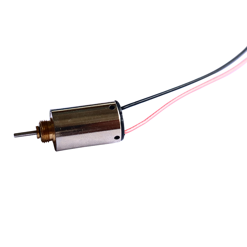 10mm Precious Metal Brush DC Motor